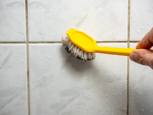 Best Post-Remediation Services in Maple Lake, MN